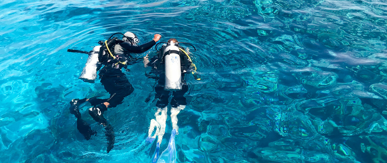 ダイビングスクールの特長と実績